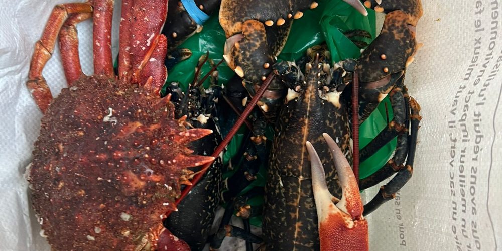 Salade d’araignée de mer aux fraises de Plougastel et tagliatelles d’asperges vertes