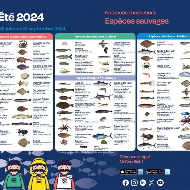 Voilà l’été et les nouvelles recommandations Mr.Goodfish !