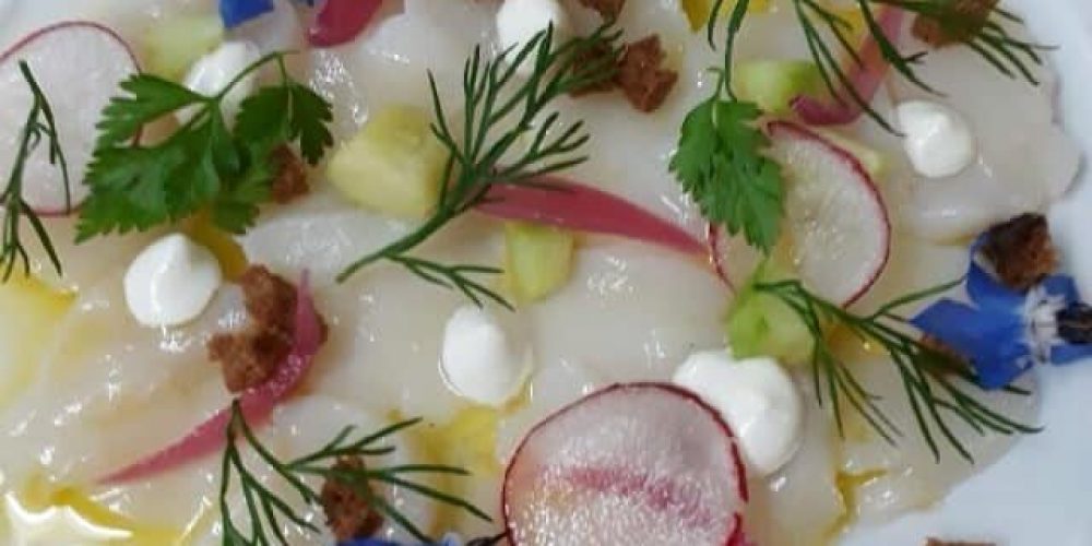 Carpaccio de Saint Jacques au citron vert, bouquet végétal, iode d’une huître