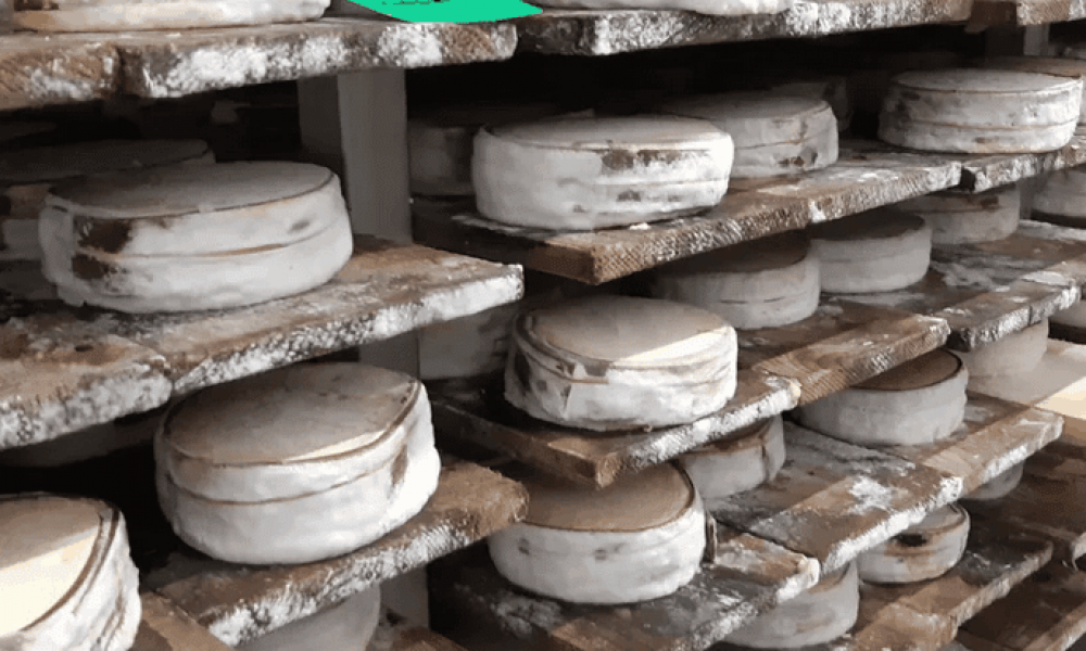 Le retour d’une star de nos plateaux de fromages : le Mont d’Or