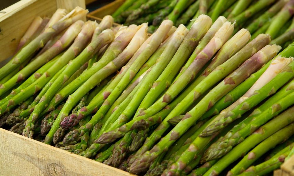 PRODUIT DE SAISON : LES ASPERGES