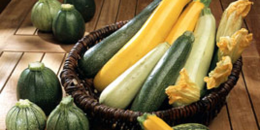 Tous à vos courgettes …