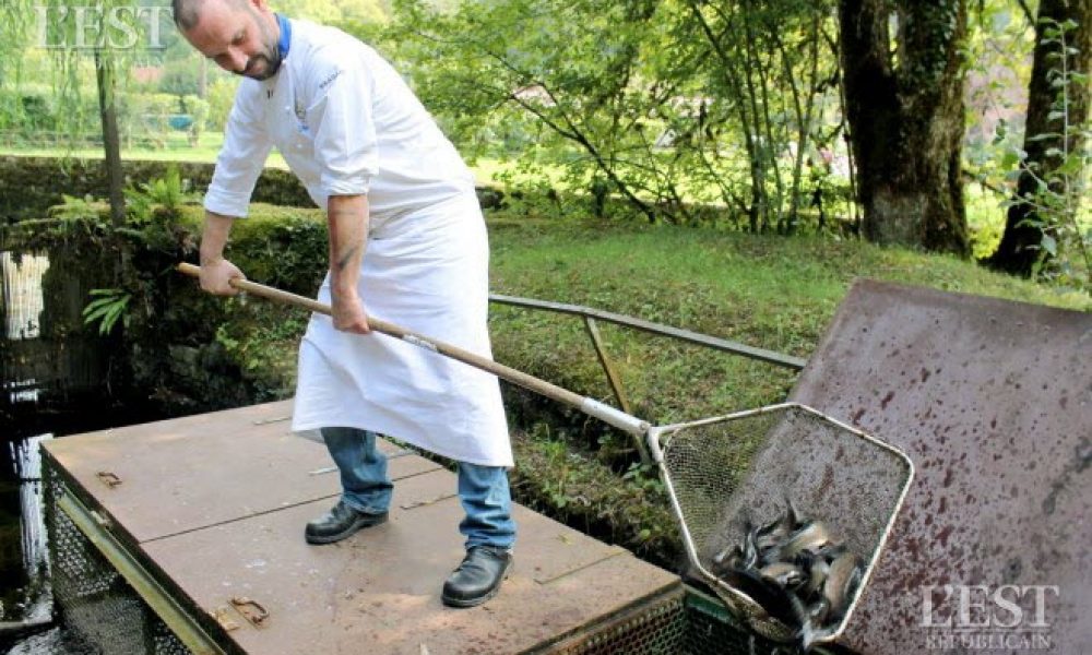 Dégustez les truites de la Source bleue à Cusance (25)