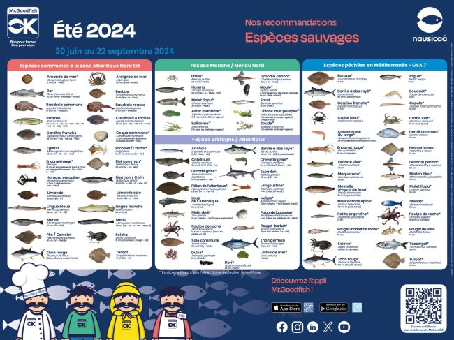 Voilà l’été et les nouvelles recommandations Mr.Goodfish !