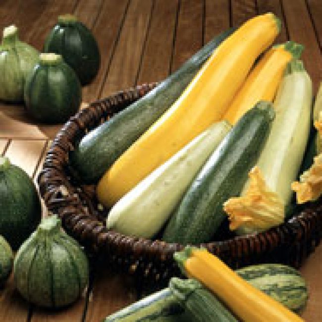 Tous à vos courgettes …