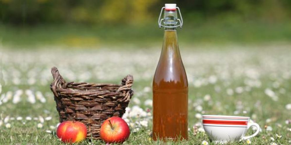 LES ORIGINES DU CIDRE