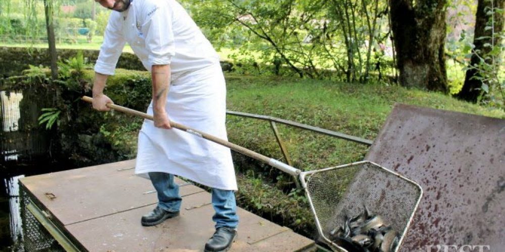 Dégustez les truites de la Source bleue à Cusance (25)